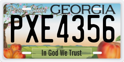 GA license plate PXE4356