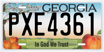 GA license plate PXE4361