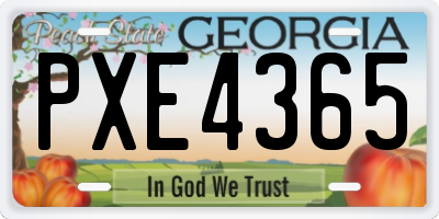 GA license plate PXE4365