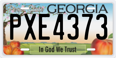 GA license plate PXE4373