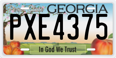 GA license plate PXE4375