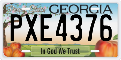 GA license plate PXE4376