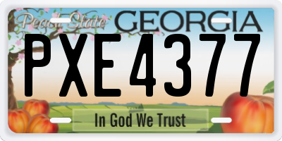 GA license plate PXE4377