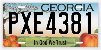 GA license plate PXE4381