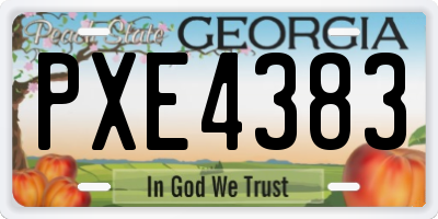 GA license plate PXE4383