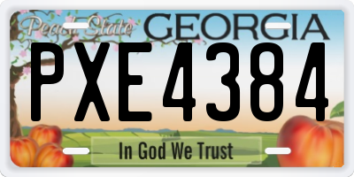 GA license plate PXE4384