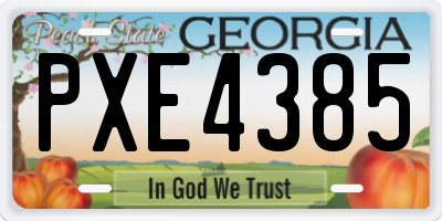 GA license plate PXE4385