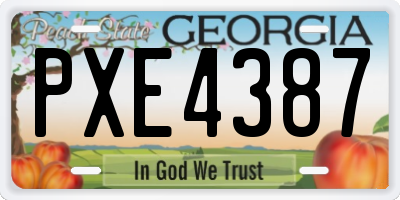 GA license plate PXE4387