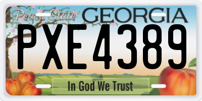 GA license plate PXE4389