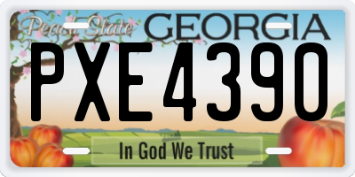 GA license plate PXE4390