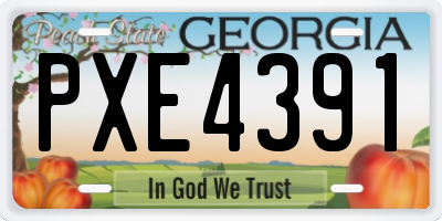 GA license plate PXE4391