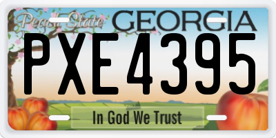 GA license plate PXE4395
