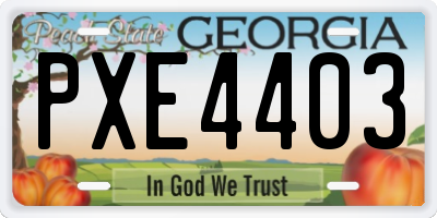 GA license plate PXE4403