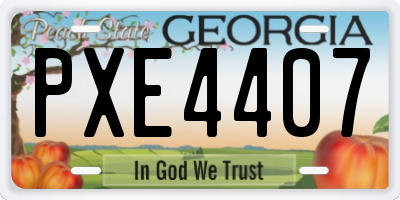 GA license plate PXE4407