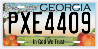 GA license plate PXE4409