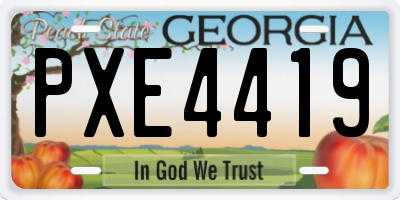GA license plate PXE4419