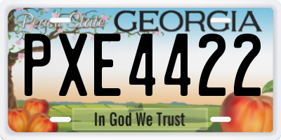 GA license plate PXE4422