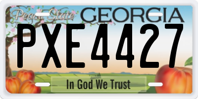 GA license plate PXE4427