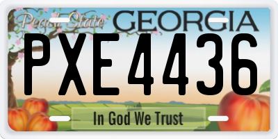 GA license plate PXE4436