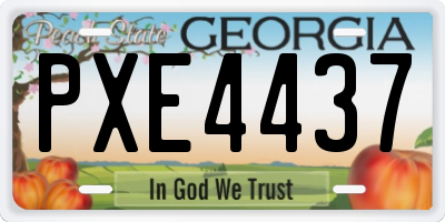GA license plate PXE4437