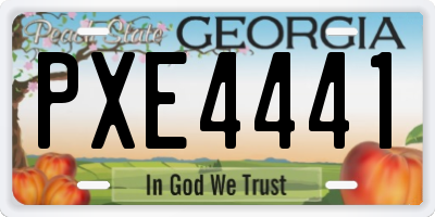 GA license plate PXE4441