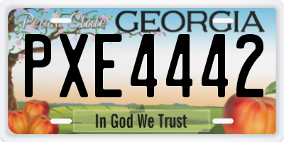 GA license plate PXE4442