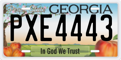 GA license plate PXE4443