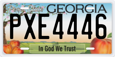 GA license plate PXE4446