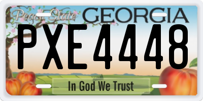 GA license plate PXE4448