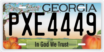 GA license plate PXE4449