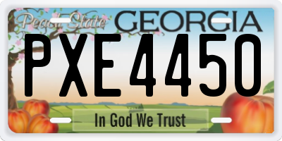 GA license plate PXE4450