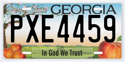 GA license plate PXE4459
