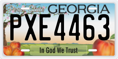 GA license plate PXE4463
