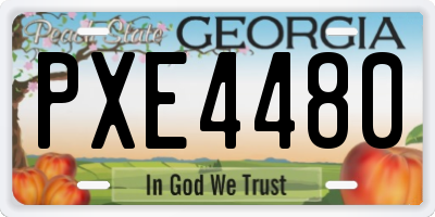 GA license plate PXE4480
