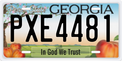 GA license plate PXE4481