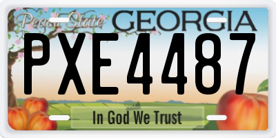 GA license plate PXE4487
