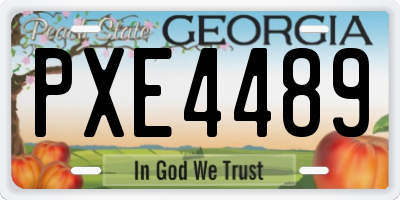 GA license plate PXE4489