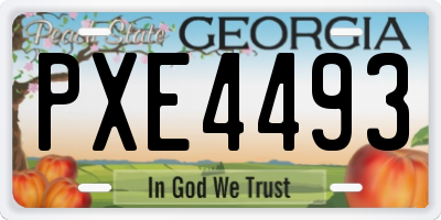 GA license plate PXE4493