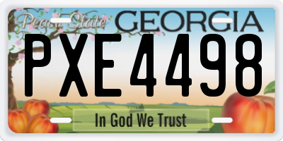 GA license plate PXE4498