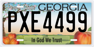 GA license plate PXE4499