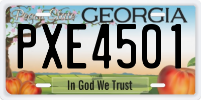 GA license plate PXE4501
