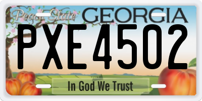 GA license plate PXE4502