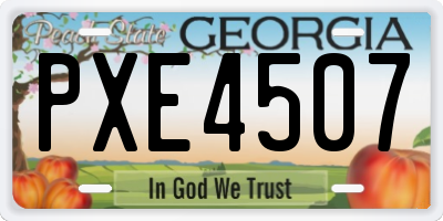GA license plate PXE4507