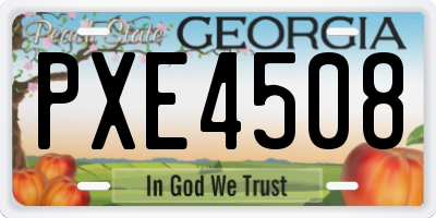 GA license plate PXE4508
