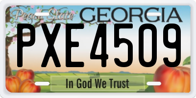 GA license plate PXE4509