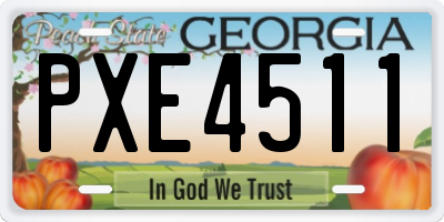 GA license plate PXE4511