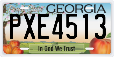 GA license plate PXE4513