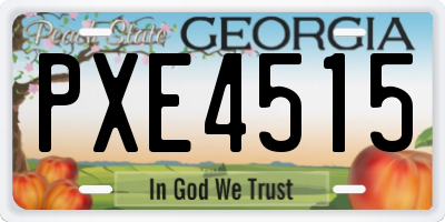 GA license plate PXE4515