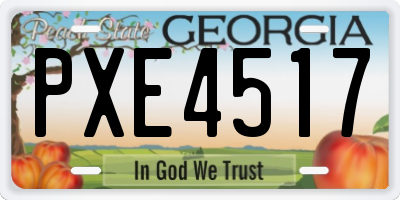 GA license plate PXE4517