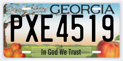 GA license plate PXE4519
